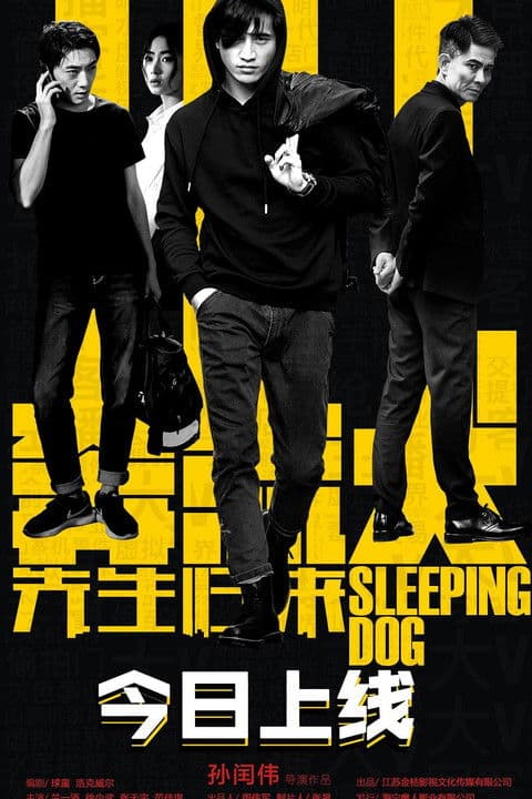 Sleeping Dog poster