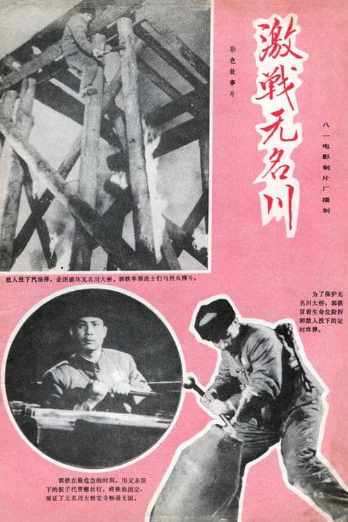 Combating in Wuming River poster