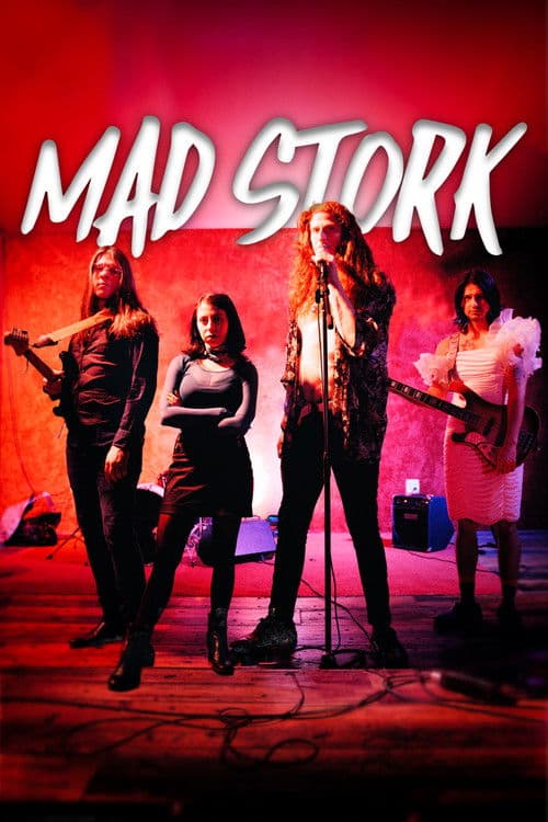 Mad Stork poster