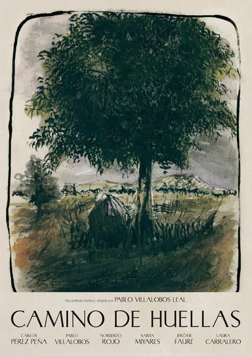 Camino de Huellas poster