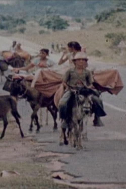 Ciganos do Nordeste poster