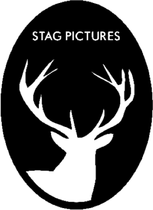Stag Pictures