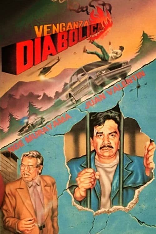Diabolical Vengeance poster