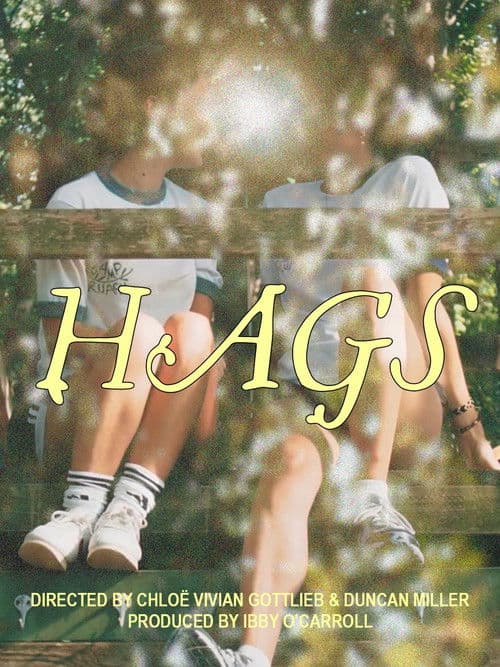 HAGS poster