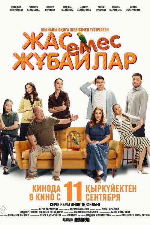 Not A Young Couple poster