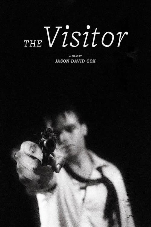 The Visitor poster