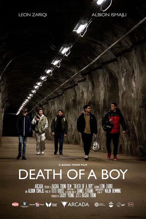 Death of a Boy poster
