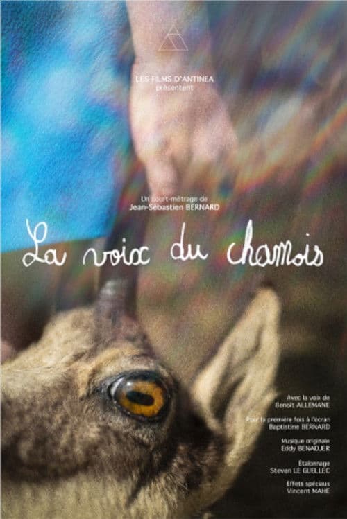 La voix du chamois poster