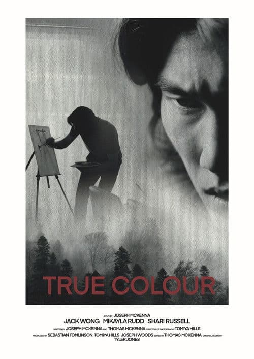 True Colour poster