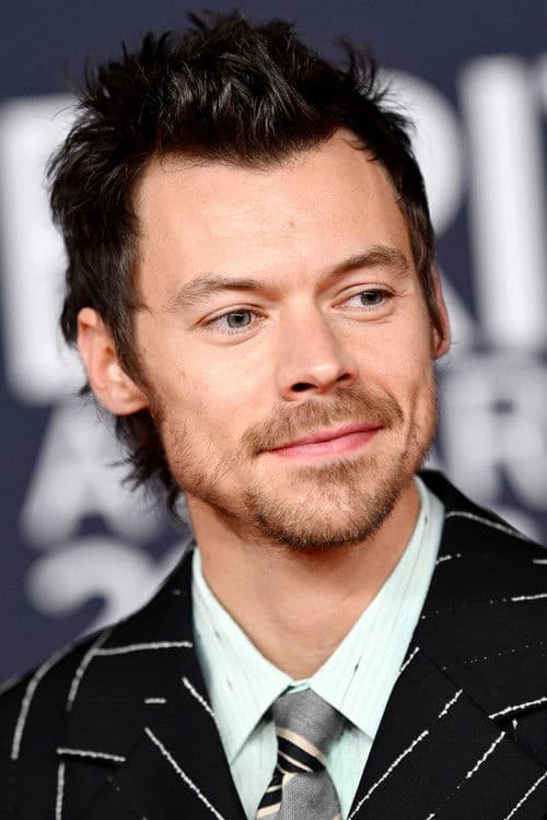 Harry Styles profile photo