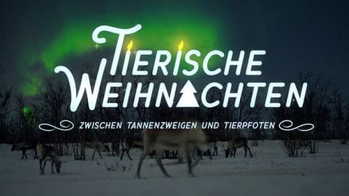 Tierische Weihnachten - Zwischen Tannenzweigen und Tierpfoten poster