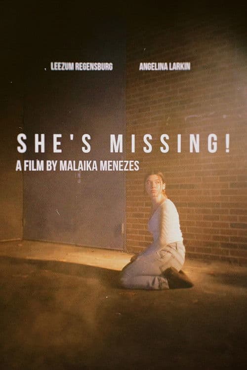 She's Missing! poster