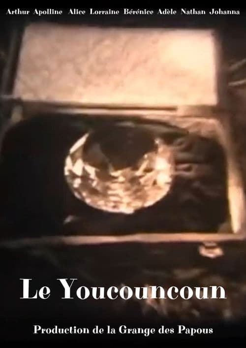 Le youcouncoun poster
