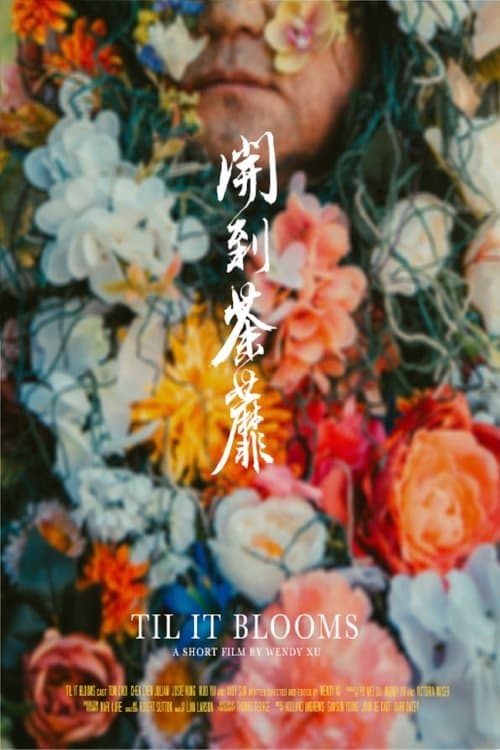 Til It Blooms poster