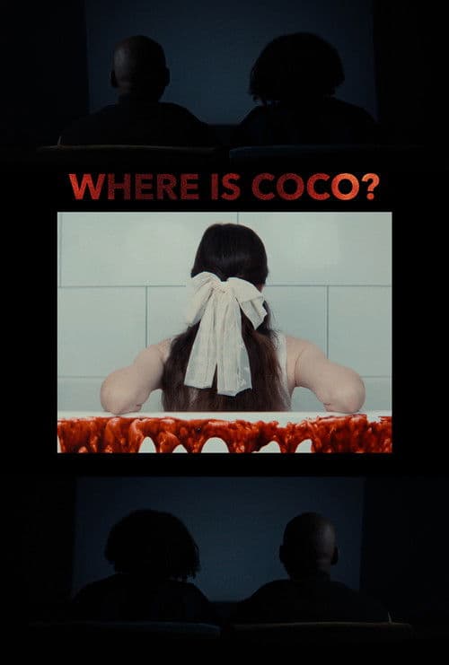 Where is Coco? poster