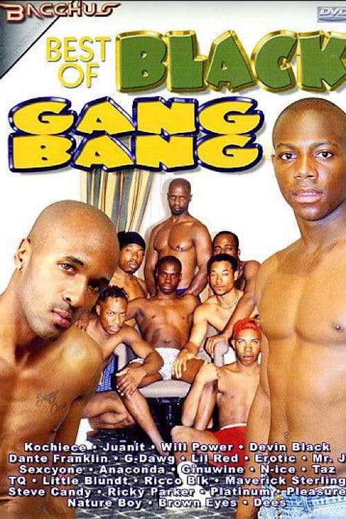 Best of Black Gang Bang poster