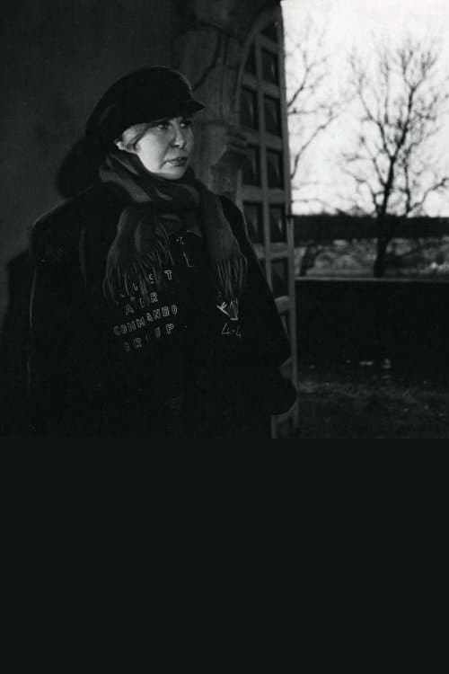 Aken aja liikumisse. Viivi Luik poster