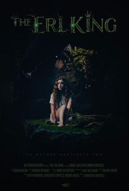The Erl King poster