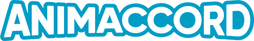 Animaccord Animation Studio