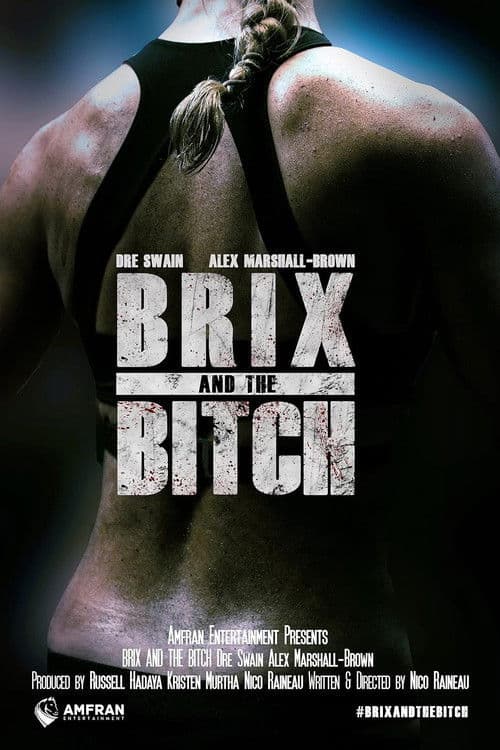 Brix and the Bitch poster