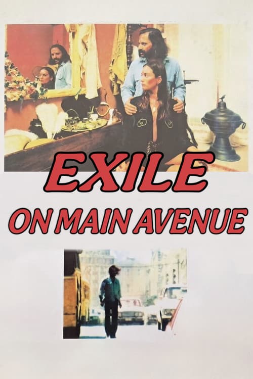 Exile on Main Avenue poster