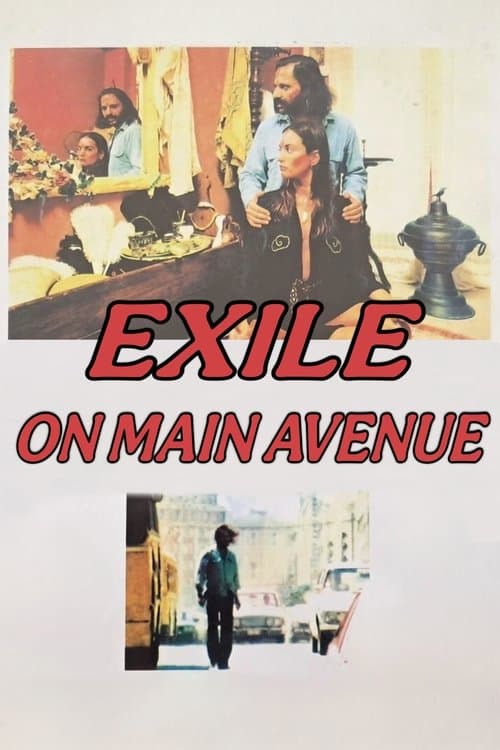 Exile on Main Avenue poster