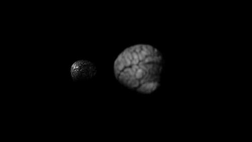 Brian; or, Brain poster