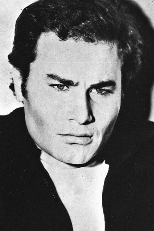 Stefano Bertini profile photo