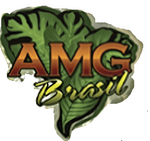 AMG Brasil