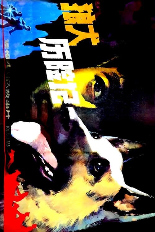 狼犬历险记 poster