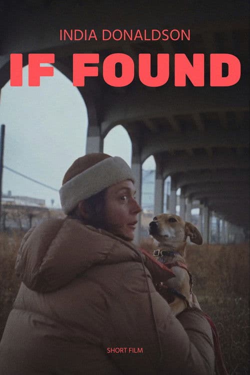If Found poster