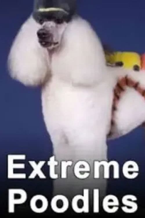Extreme Poodles poster