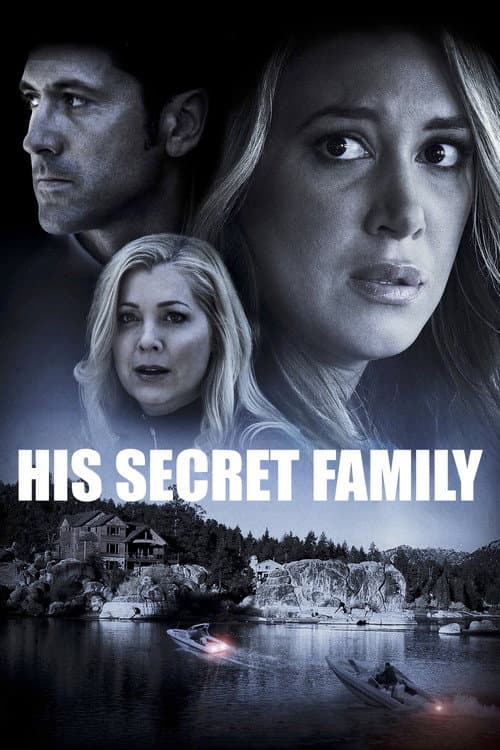 His Secret Family poster