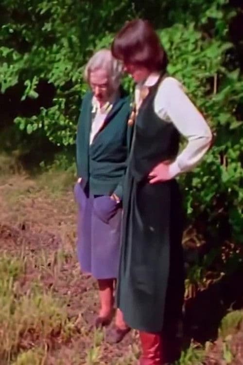 Remembering Jung poster