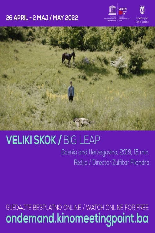 Big Leap poster