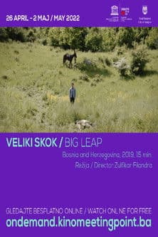 Big Leap poster