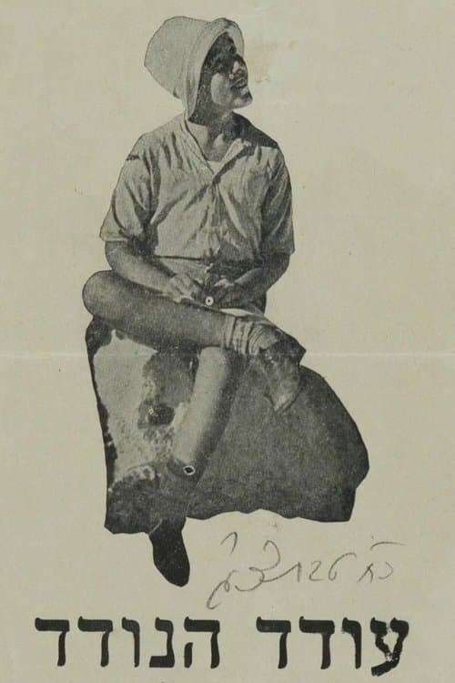 Oded the Wanderer poster