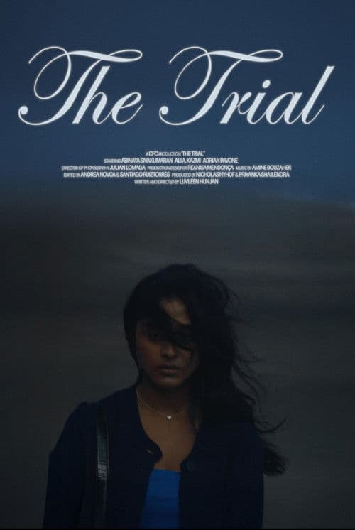 The Trial poster