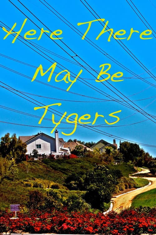 Here There May Be Tygers poster