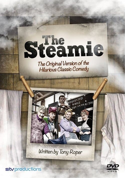 The Steamie poster