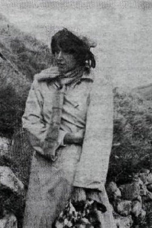 Kristrún in Hamravík poster