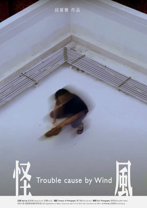 Trouble Cause By Wind poster