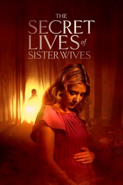 The Secret Lives of Sister Wives poster