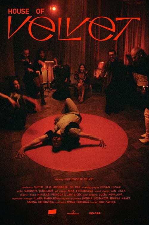 House of Velvet poster