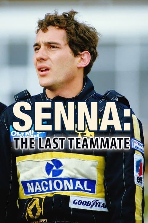 The Last Teammate poster