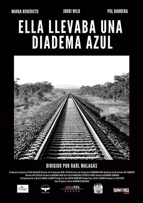 She Was Wearing a Blue Diadem poster