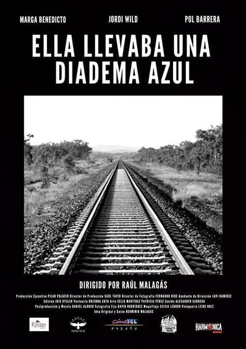 She Was Wearing a Blue Diadem poster