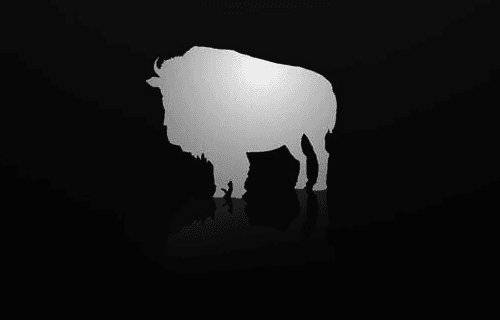 Buffalo Picture House