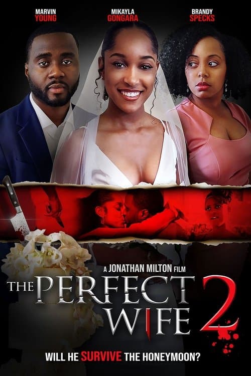 The Perfect Wife 2 poster
