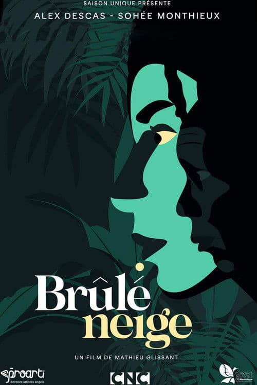Brûlé neige poster